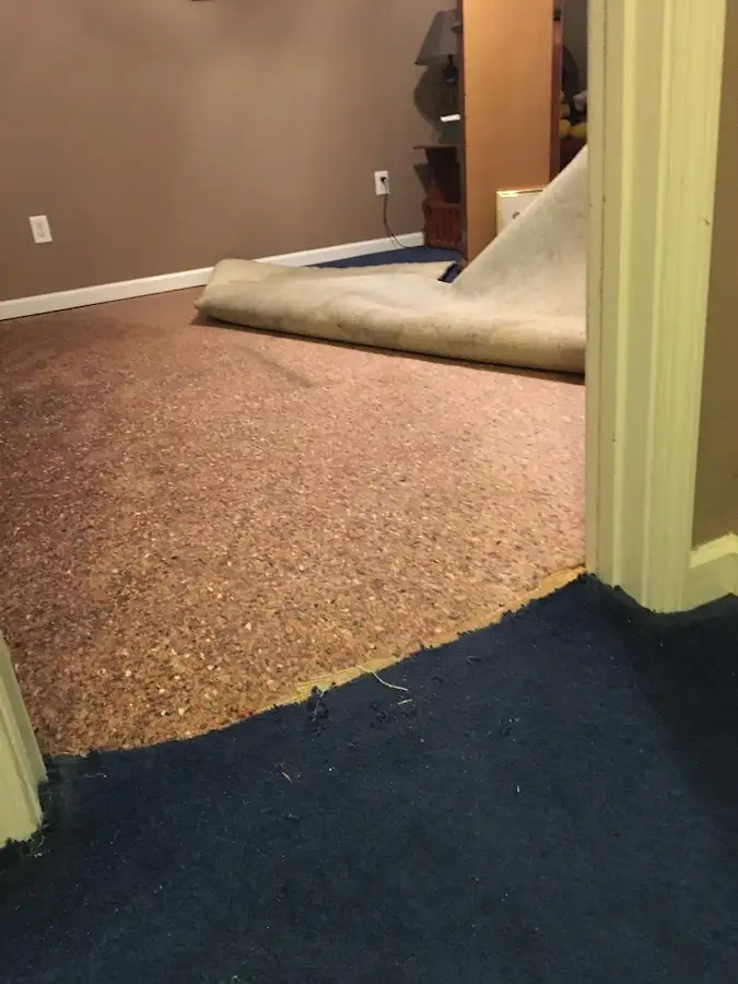 Carpet pad removal revealing water damage during Water Mitigation Services in Phoenixville